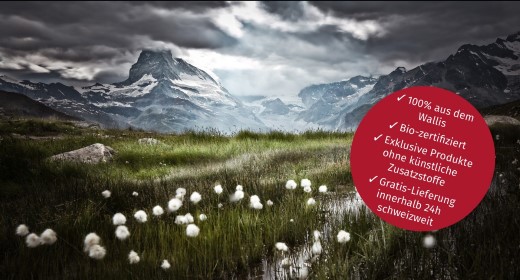 Kompromisslos Wallis