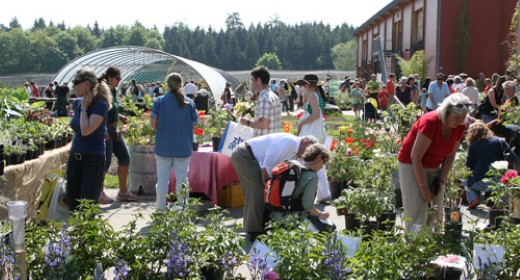 Spezialitätenmarkt an der ZHAW in Wädenswil
