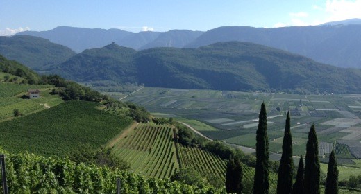 Weinreise ins Südtirol