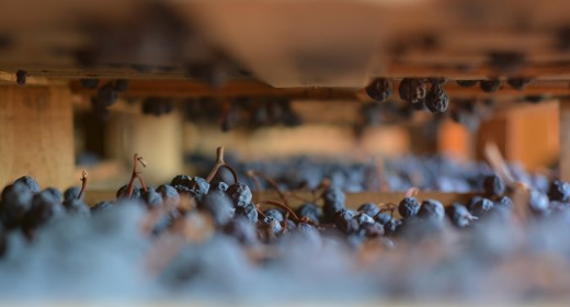 Amarone & Co.