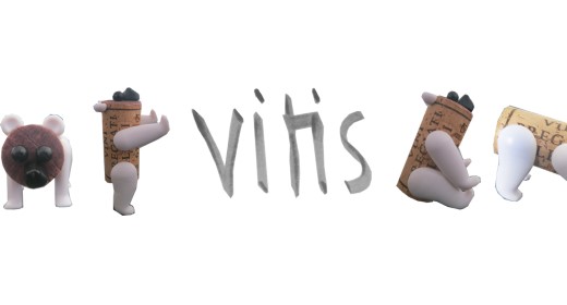 Vitis, ein Weinblog für's Volk