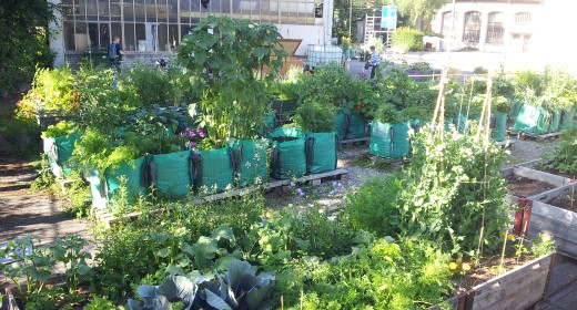 Urban gardening
