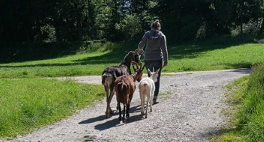 Ein Ort für Geiss und Kind!