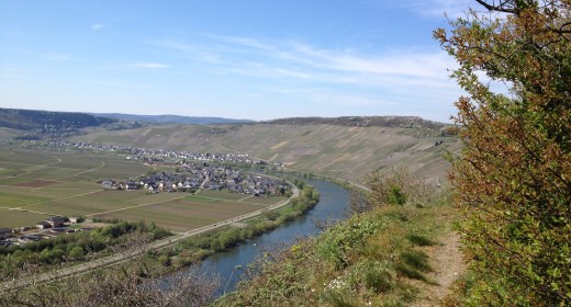 Weinreise in den Rheingau und an die Mosel