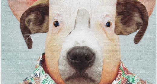 Der innere Schweinehund