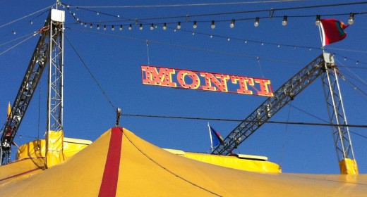 Circus, Circus!
