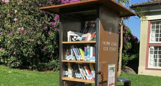 Lesen im Grünen