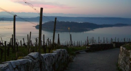 Hoch über dem Bielersee